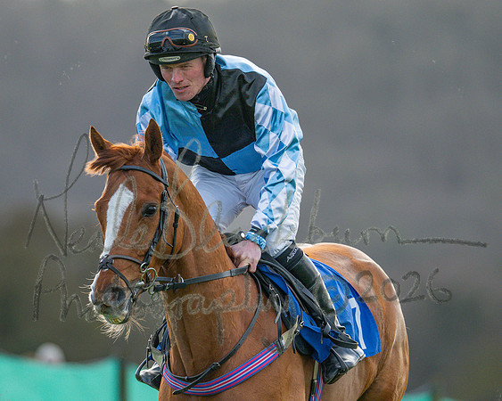 Race 6 - The PPORA Club Members Restricted Race over 2m 5f (3 of 72)