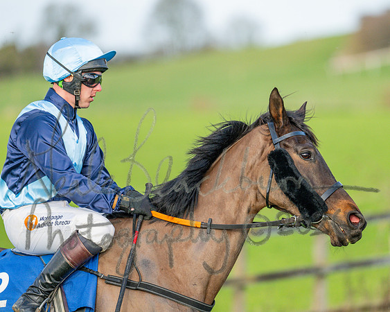 Race 6 - The PPORA Club Members Restricted Race over 2m 5f (4 of 72)