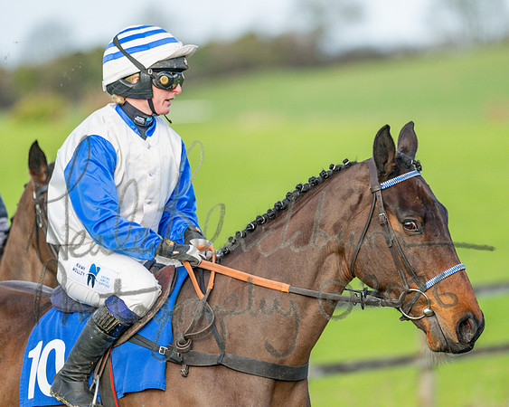 Race 6 - The PPORA Club Members Restricted Race over 2m 5f (5 of 72)
