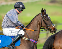 Race 6 - The PPORA Club Members Restricted Race over 2m 5f (6 of 72)