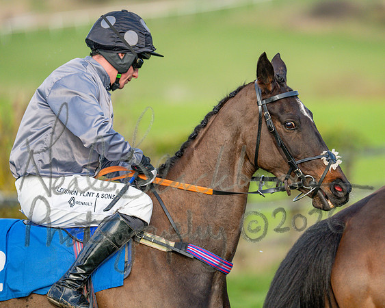 Race 6 - The PPORA Club Members Restricted Race over 2m 5f (6 of 72)