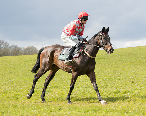Race 3 - Owner Trainer conditions (13 of 132)