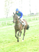 Old Berks at Lockinge PPORA novice and veteran riders race