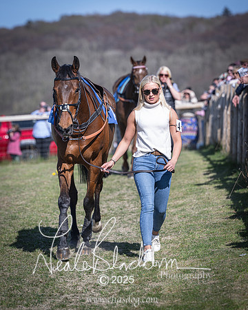 Race 6 - Veteran horse (8 of 109)