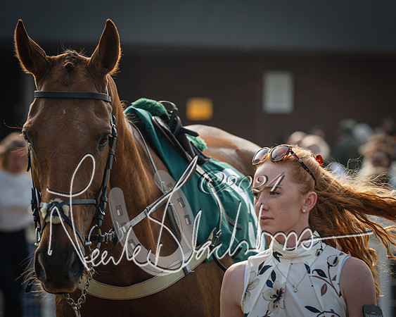 Race 2 - The Venatour sports travel intermediate point to point hunters’ steeplechase 5 year olds and over 3m2f (25 of 163)