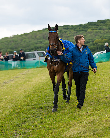 Race 2 - PPORA Novice Riders  (12 of 187)