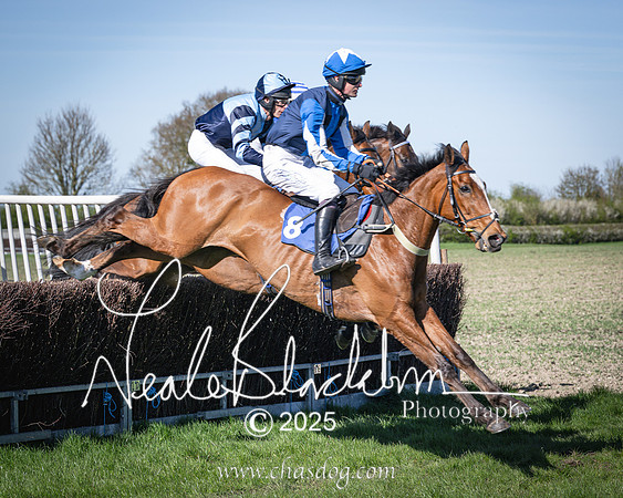 Race 6 - Veteran horse (55 of 109)