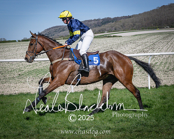 Race 5 - The restricted (31 of 113)