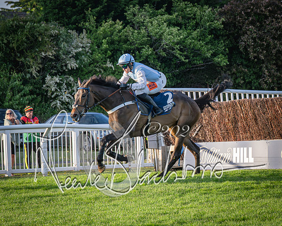 Race 5 - tipsterreviews.co.uk handicap (35 of 107)