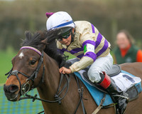Pony Races