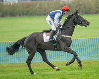 Race 1 - Maiden Race 3M (2 of 77)