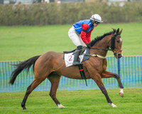 Race 1 - Maiden Race 3M (5 of 77)