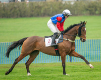 Race 1 - Maiden Race 3M (6 of 77)