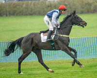 Race 1 - Maiden Race 3M (3 of 77)