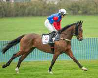 Race 1 - Maiden Race 3M (7 of 77)