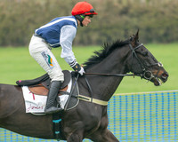Race 1 - Maiden Race 3M (4 of 77)
