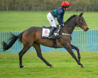 Race 1 - Maiden Race 3M (9 of 77)