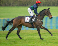 Race 1 - Maiden Race 3M (10 of 77)