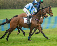 Race 1 - Maiden Race 3M (12 of 77)