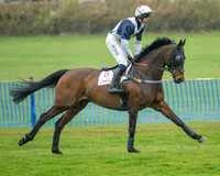 Race 1 - Maiden Race 3M (19 of 77)