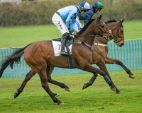 Race 1 - Maiden Race 3M (13 of 77)