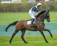 Race 1 - Maiden Race 3M (20 of 77)