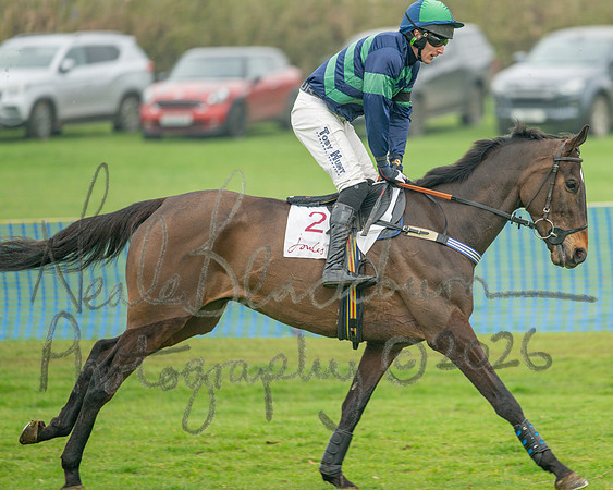 Race 2 - Restricted (12 of 49)