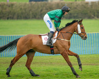 Race 2 - Restricted (6 of 49)