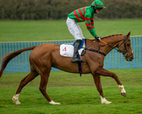 Race 2 - Restricted (9 of 49)