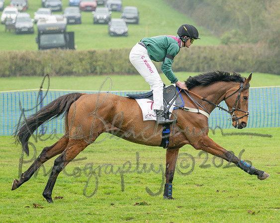 Race - 3 Intermediate (7 of 61)