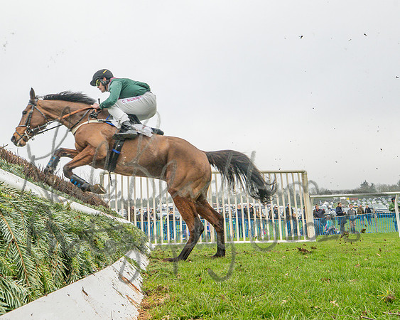 Race - 3 Intermediate (21 of 61)