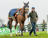 Race 5 - PPORA 5 and over conditions (3 of 121)