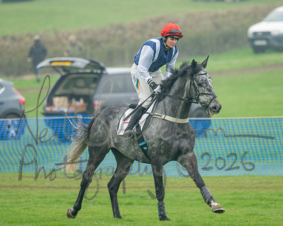 Race 5 - PPORA 5 and over conditions (25 of 121)