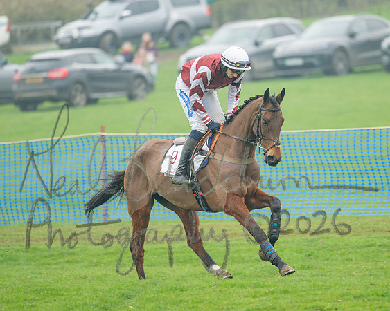 Race 5 - PPORA 5 and over conditions (33 of 121)