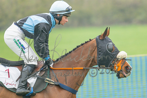 Race 5 - PPORA 5 and over conditions (31 of 121)