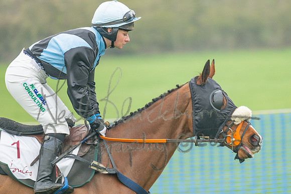 Race 5 - PPORA 5 and over conditions (30 of 121)