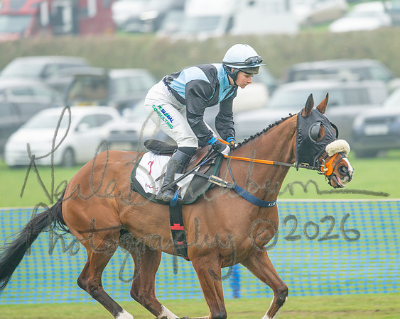 Race 5 - PPORA 5 and over conditions (29 of 121)