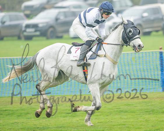 Race 5 - PPORA 5 and over conditions (38 of 121)