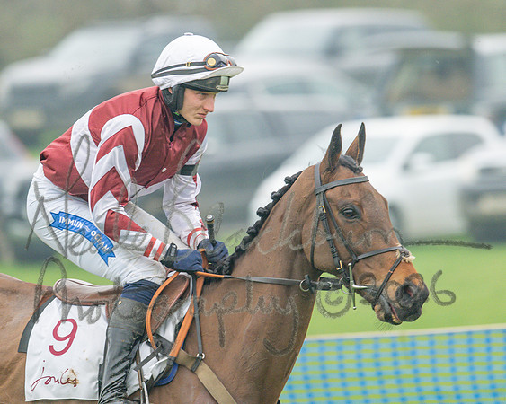 Race 5 - PPORA 5 and over conditions (35 of 121)