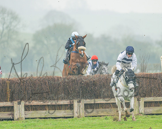 Race 5 - PPORA 5 and over conditions (49 of 121)