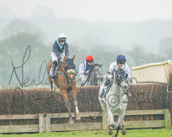 Race 5 - PPORA 5 and over conditions (52 of 121)