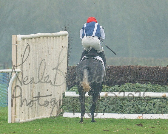 Race 5 - PPORA 5 and over conditions (60 of 121)