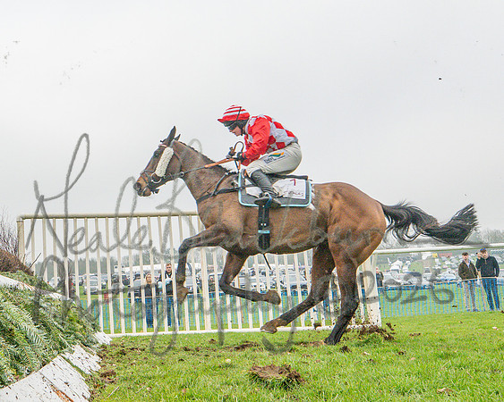 Race 6 - Conditions (13 of 49)