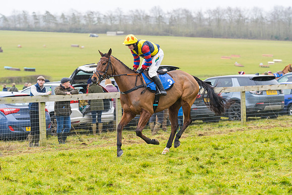 Race 2 - Maiden  (5 of 142)