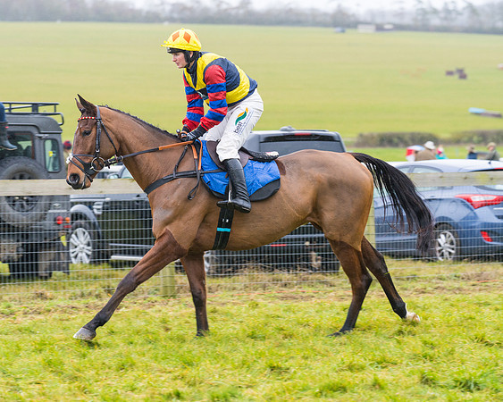 Race 2 - Maiden  (6 of 142)