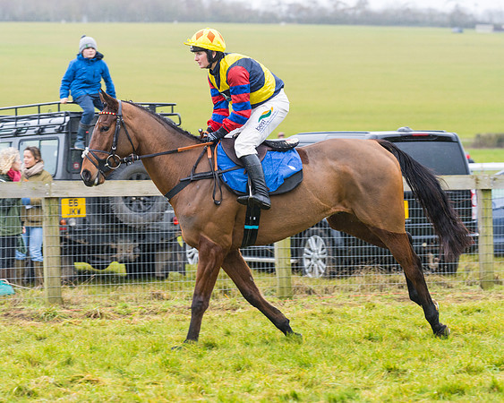 Race 2 - Maiden  (7 of 142)