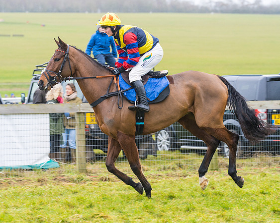 Race 2 - Maiden  (8 of 142)