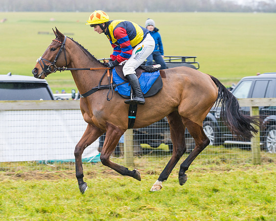 Race 2 - Maiden  (9 of 142)