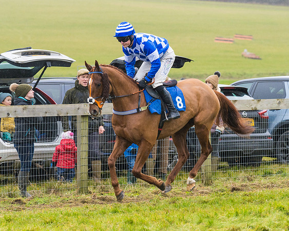 Race 2 - Maiden  (14 of 142)