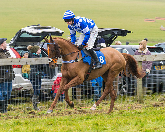 Race 2 - Maiden  (15 of 142)